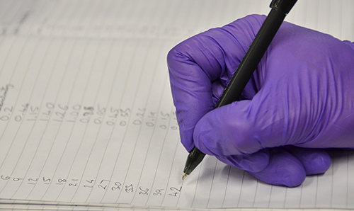 A hand in a purple glove jotting down findings from an experiment